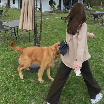 丛林猎凶